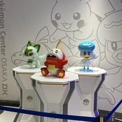 同じポケカ女子の友達欲しいですm(*_ _)m