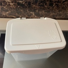 森永　エコラクパック