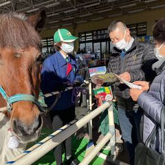 【馬好き必見★シフト自由！】週1日以上〜OK♫イベント会場で馬のかわいさ・乗馬の楽しさを伝えるお仕事☆※ジモティーが掲載している求人となりますの画像