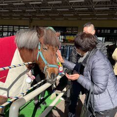 【馬好き必見★シフト自由！】週1日以上〜OK♪イベント会場で馬のかわいさ・乗馬の楽しさを伝えるお仕事☆※ジモティーが掲載している求人となりますの画像
