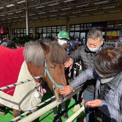 【馬好き必見★シフト自由！】週1日以上〜OK♪イベント会場で馬のかわいさ・乗馬の楽しさを伝えるお仕事☆※ジモティーが掲載している求人となりますの画像