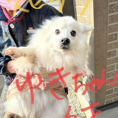 急ぎで探しています！