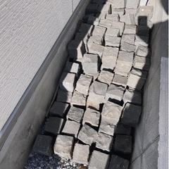 ピンコロ　黒　ブラック【80円/個】