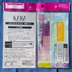 韓国アイドルKARAプロマイドの画像