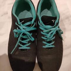 【無料】ミズノ　ウォーキングシューズ　23.5センチ