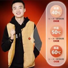 男女兼用　電熱ベスト　グレー　Ｍサイズの画像