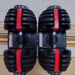 可変ダンベル　24kg✕2セット