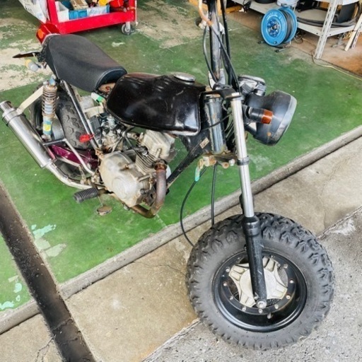 ノーティダックス