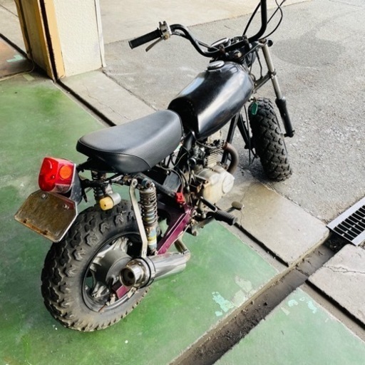 ノーティダックス