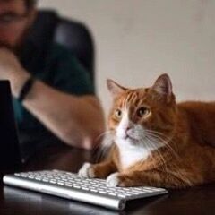 初任給30万円！初心者歓迎の大手IT企業のPC業務