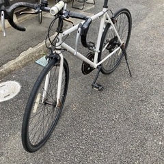 アニマト　ロードバイクの画像