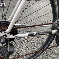 アニマト　ロードバイクの画像