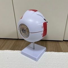 眼球模型の画像