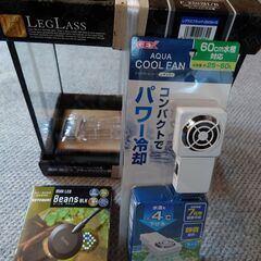 水槽セット  めだか  メダカ