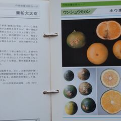 植物の栄養診断の専門書（プロ用）の画像