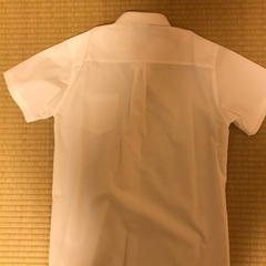 男の子　白半袖シャツの画像