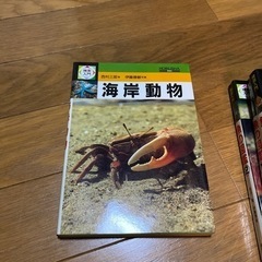 魚の図鑑など