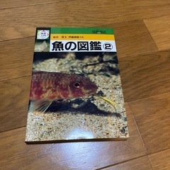 魚の図鑑などの画像