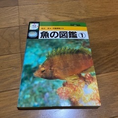 魚の図鑑などの画像