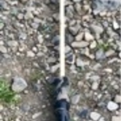 釣竿　釣り　fishing 竿