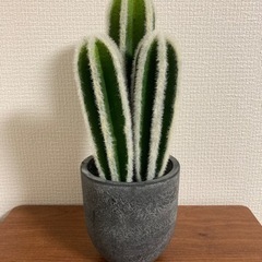 【受け渡し決定】フェイクグリーン　サボテン