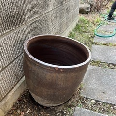 水瓶