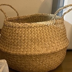 IKEA FLÅDIS フローディス　バスケット　水草