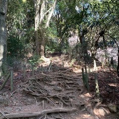 登山、キャンプ仲間募集 - 友達