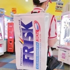 フリスクリュックの画像