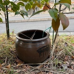 水瓶 小