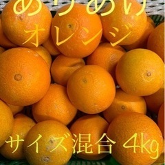 【在庫切れ】☆ありあけオレンジ◯サイズ混合◯正味4kg☆