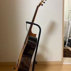 Aria アリア A-30S クラシックギター の画像