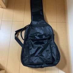 Aria アリア A-30S クラシックギター の画像