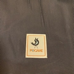 ポグネーの画像