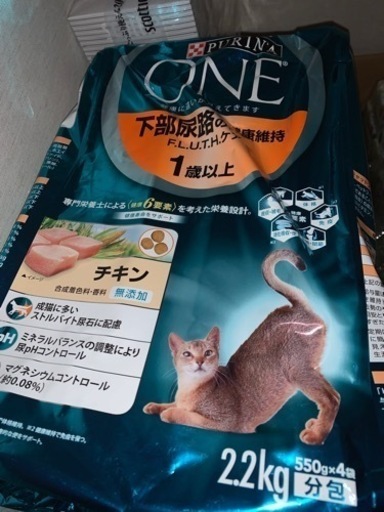 キャットフード