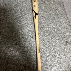 NPB元巨人現BC栃木監督寺内さん値下げ可