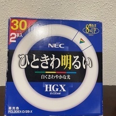 自宅保管電球