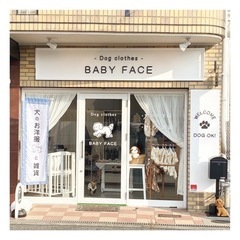 犬のお洋服と雑貨屋さんNew OPEN！【堺市東区】 - 堺市