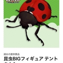 昆虫BIGフィギュア テントウムシ
