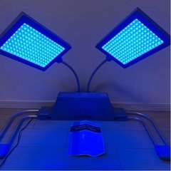 育毛サロン発 青色LEDライト照射器 AGAIA/アガイアブルー(未使用、美品)の画像