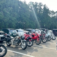 【TEAM SUNRISE】🌅　メンバー募集中