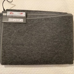 ワタナベ工業　A20J  2畳ホットカーペット