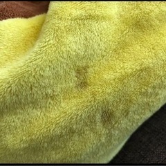 ぬいぐるみクッションの画像