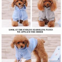 サイズL　ブルー　犬用 ドッグウェア　無地パーカー　お散歩　秋冬　 ペット服の画像