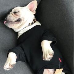 黒　M　サイズ　犬服 バツ模様 トレーナー 男の子　女の子　兼用の画像