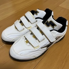 野球用トレーニングシューズ(SSK)の画像