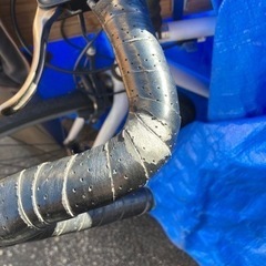 アニマト　ロードバイクの画像