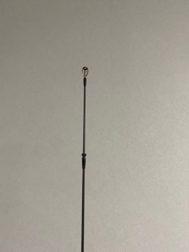 Daiwa スティーズ　スカイレイ　ベイトフィネス