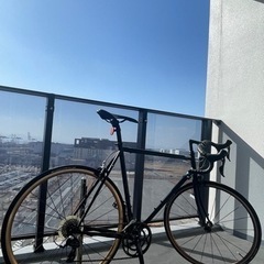 Fuji ロードバイク BALLAD 58型