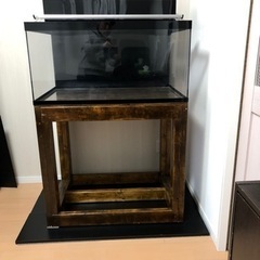 [引取希望]奥行60cmの90cmアクリル水槽セット
